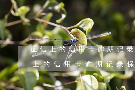 征信上的信用卡逾期记录保存时限多长（征信上的信用卡逾期记录保存时限）
