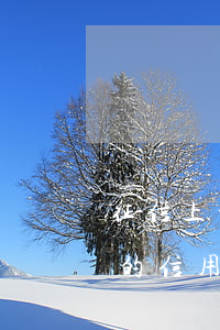 征信上的信用卡逾期记录怎么消除-征信上的信用卡逾期记录怎么消除掉