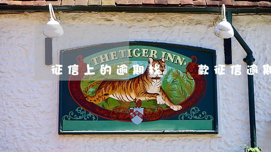 征信上的逾期找誰還款(征信逾期去哪里還款)