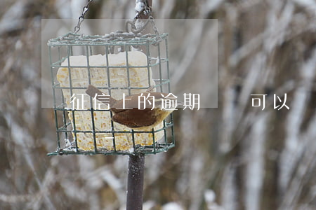 征信上的逾期記錄可以網(wǎng)上查嗎-