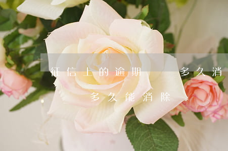 征信上的逾期記錄多久消除（信用卡逾期征信記錄多久能消除）