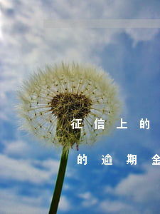 征信上的逾期金額是要還的金額嗎-征信上的逾期金額是要還的金額嗎怎么查