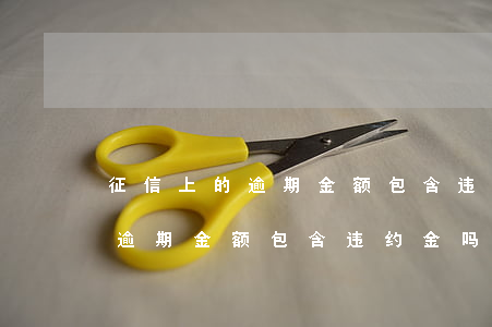 征信上的逾期金额包含违约金吗-征信上的逾期金额包含违约金吗怎么算