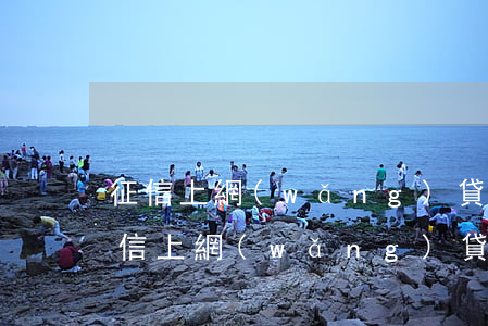 征信上網(wǎng)貸逾期二十多次了（征信上網(wǎng)貸逾期二十多次）
