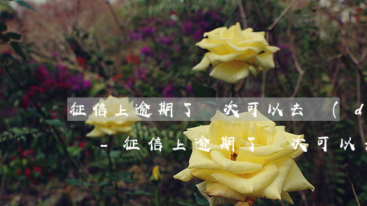 征信上逾期了兩次可以去當(dāng)兵嗎-征信上逾期了兩次可以去當(dāng)兵嗎有影響嗎