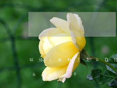 征信上逾期了怎么辦信用卡(征信有過逾期怎么辦信用卡)