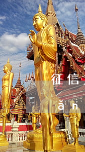 征信上逾期的網(wǎng)貸咋還(網(wǎng)貸還款上征信嗎)