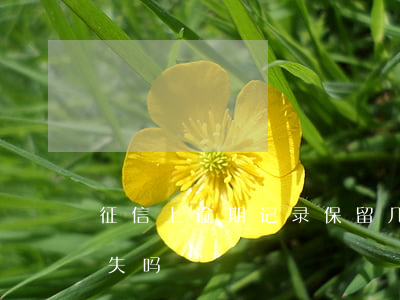 征信上逾期记录保留几年(征信逾期记录会消失吗)