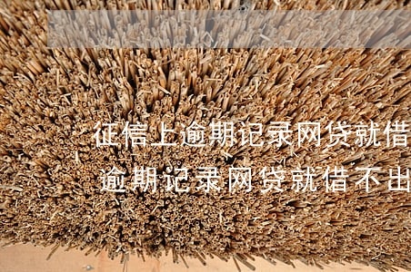 征信上逾期记录网贷就借不出来吗-征信上逾期记录网贷就借不出来吗怎么办