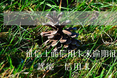 征信上面信用卡未逾期(征信還有逾期未還的貸款能辦信用卡)