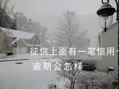 征信上面有一笔信用卡有逾期(有一笔信用卡逾期会怎样)