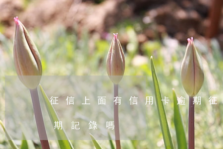 征信上面有信用卡逾期(征信上面有信用卡逾期記錄嗎)