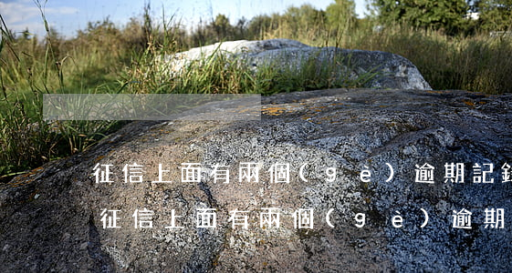 征信上面有兩個(gè)逾期記錄怎么辦-征信上面有兩個(gè)逾期記錄怎么辦呢