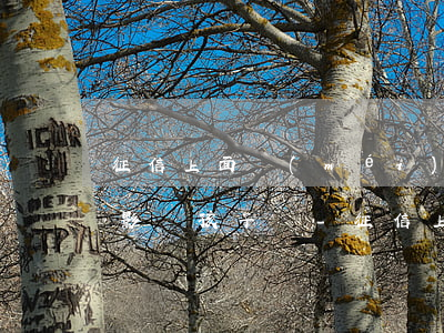 征信上面沒(méi)有逾期會(huì)影響孩子嗎-征信上面沒(méi)有逾期會(huì)影響孩子嗎知乎