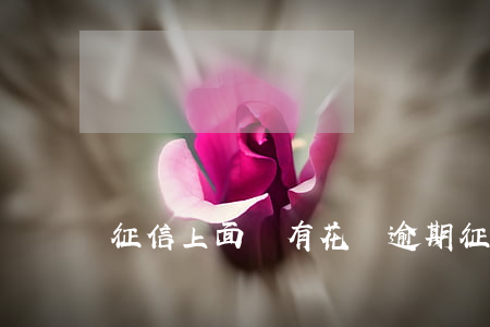 征信上面沒有花唄逾期 征信沒有花唄記錄