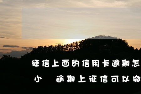 征信上面的信用卡逾期怎么樣會取消（信用卡小額逾期上征信可以撤銷嗎）