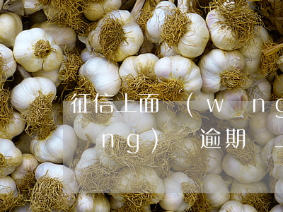 征信上面網(wǎng)貸逾期過多(網(wǎng)貸逾期會上征信嗎?)