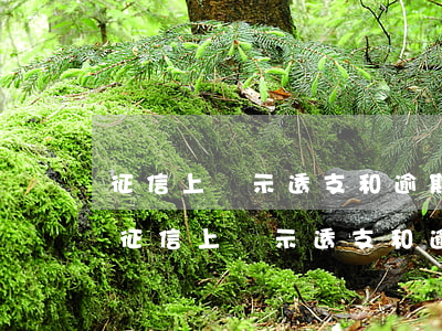 征信上顯示透支和逾期有區(qū)別嗎-征信上顯示透支和逾期有區(qū)別嗎怎么辦