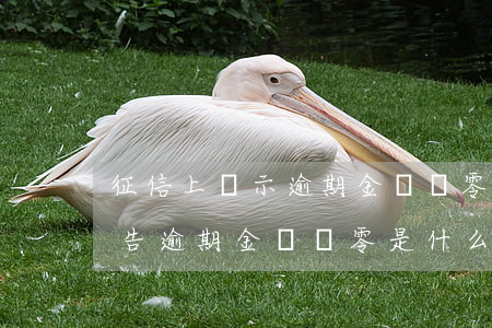 征信上顯示逾期金額為零(征信報(bào)告逾期金額為零是什么意思)