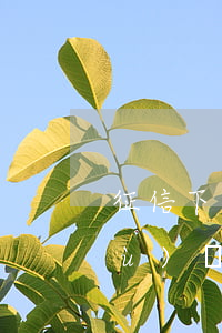 征信下線了網(wǎng)貸逾期數(shù)據(jù)是真的嗎-征信下線了網(wǎng)貸逾期數(shù)據(jù)是真的嗎嗎