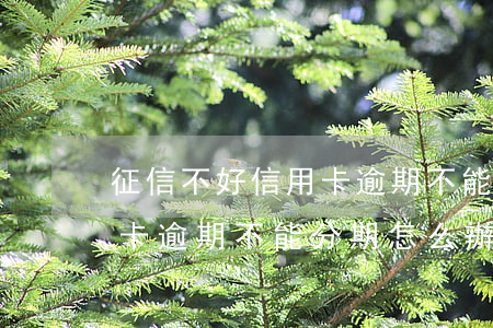 征信不好信用卡逾期不能分期(征信不好信用卡逾期不能分期怎么辦)