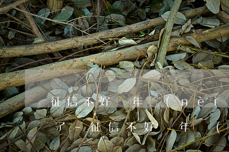 征信不好兩年內(nèi)三張銀行卡逾期了-征信不好兩年內(nèi)三張銀行卡逾期了怎么辦