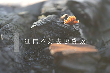 征信不好去哪貸款