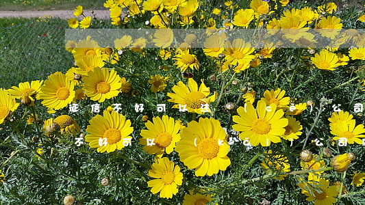 征信不好可以注冊(cè)公司法人嗎(征信不好可以開(kāi)公司做法人嗎)