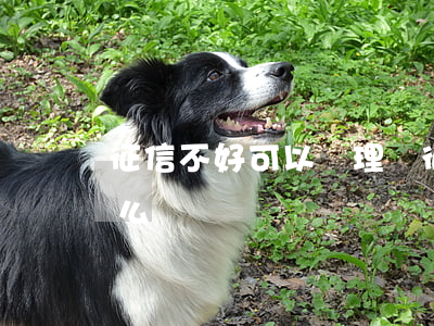 征信不好可以處理嗎(征信不好可以處理嗎怎么辦)