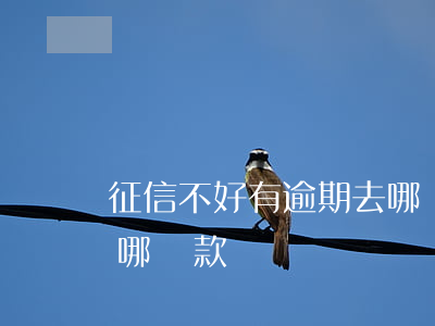 征信不好有逾期去哪貸款(征信不好有逾期去哪貸款)