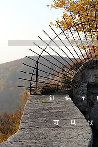 征信不好能協(xié)商還款嗎(征信不好可以找人修復(fù)嗎)