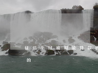 征信不好逾期能貸款的(征信不好逾期能貸款的)