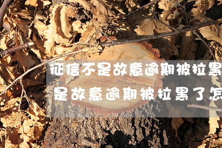 征信不是故意逾期被拉黑了怎么办-征信不是故意逾期被拉黑了怎么办呢
