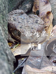 征信不良信用卡逾期影響找工作嗎-征信逾期會(huì)不會(huì)影響找工作