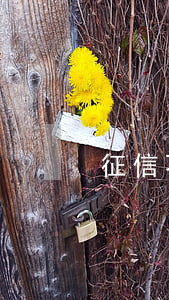 征信不逾期有沒有影響（不逾期影響征信么）