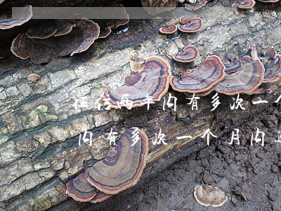 征信两年内有多次一个月内逾期-征信两年内有多次一个月内逾期怎么办