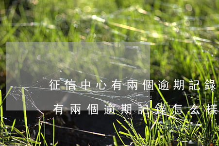 征信中心有兩個逾期記錄怎么樣-征信中心有兩個逾期記錄怎么樣才能消除