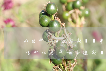 征信中心消除逾期記錄申請(qǐng)（征信中心可以消除逾期記錄）