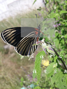 征信中心逾期記錄影響房貸(個(gè)人征信有逾期記錄會(huì)影響購房嗎)