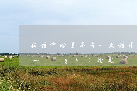 征信中心里面有一次信用卡逾期(征信中心有一個(gè)逾期)