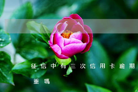 征信中有三次信用卡逾期(信用卡逾期三次嚴重嗎)