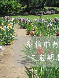征信中有信用卡逾期怎么消除(征信中有信用卡逾期怎么消除逾期記錄)