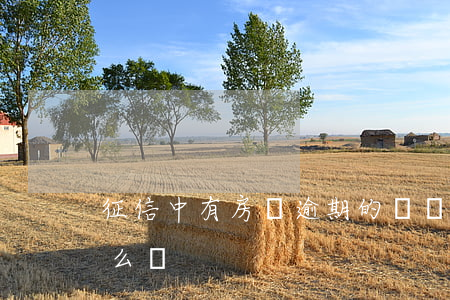 征信中有房貸逾期的記錄(房貸有逾期記錄怎么辦)