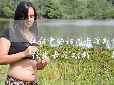 征信中的信用卡逾期影響貸款嗎-征信中的信用卡逾期影響貸款嗎知乎