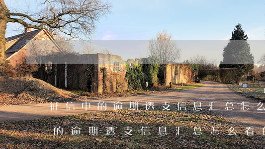 征信中的逾期透支信息汇总怎么看-征信中的逾期透支信息汇总怎么看的