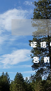 征信中貸款逾期三十多次(征信報(bào)告有4次逾期貸款)