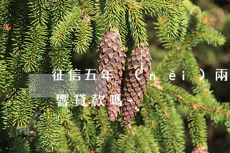 征信五年內(nèi)兩個(gè)逾期影響貸款嗎-