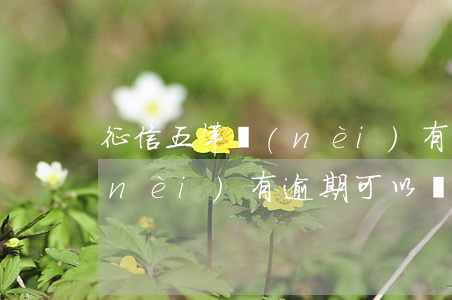 征信五年內(nèi)有逾期(征信五年內(nèi)有逾期可以貸款嗎)
