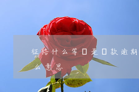 征信什么等級是貸款逾期(征信逾期次級是什么意思)