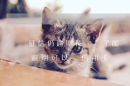 征信仍逾期花唄開了能辦信用卡嗎(之前花唄逾期可以辦信用卡嗎)